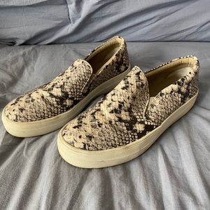 Steve Madden snake skin slip ons